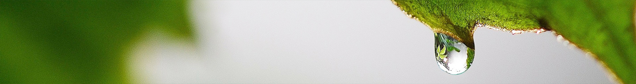 Closeup of a single water droplet dangling from the tip.