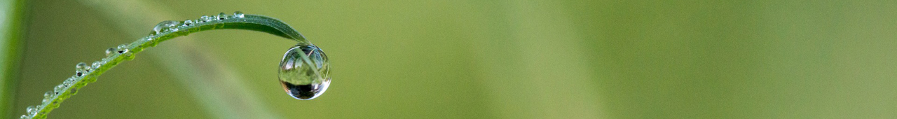 Closeup of a single water droplet dangling from the tip.