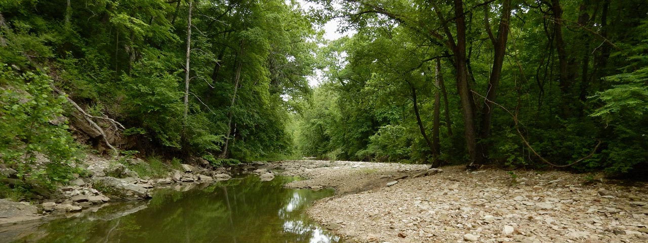Bass Creek